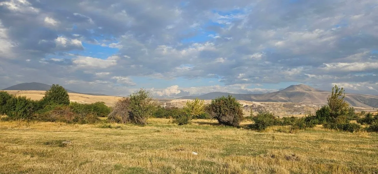 Open grassland with shrubs and trees at the foot of the mountains in Kotayk Province, Armenia